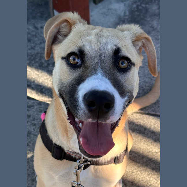 Photo of Sasha