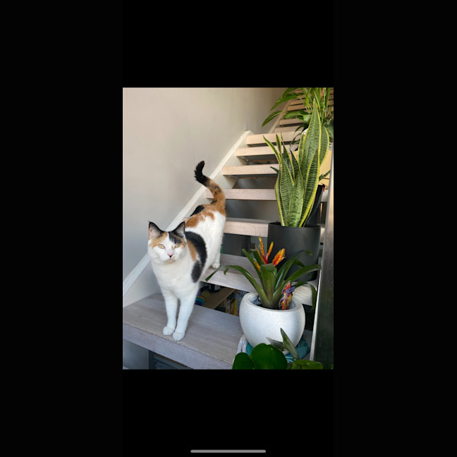 Photo of Chanel And Dolce