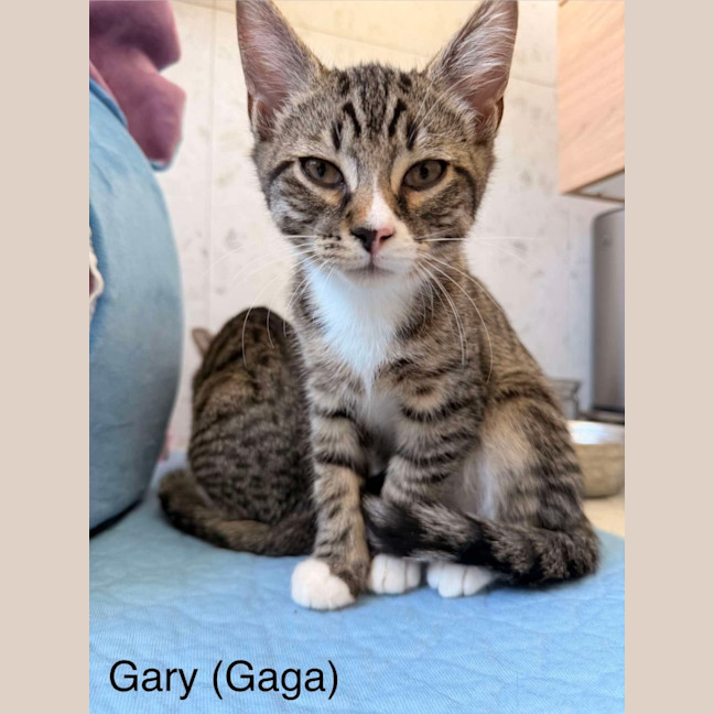 Photo of Gary & Harriet 