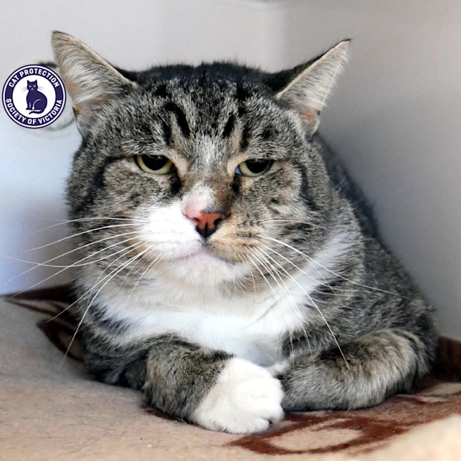 Photo of Nelson Sta013539