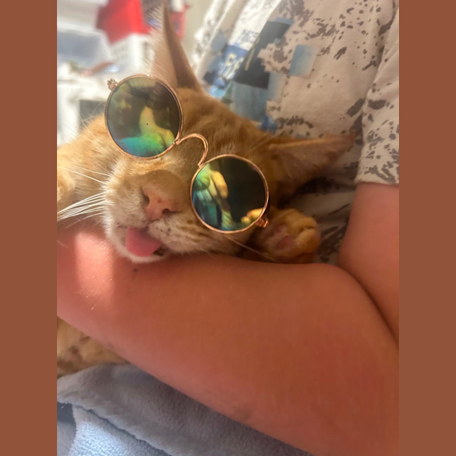 Photo of Marmalade