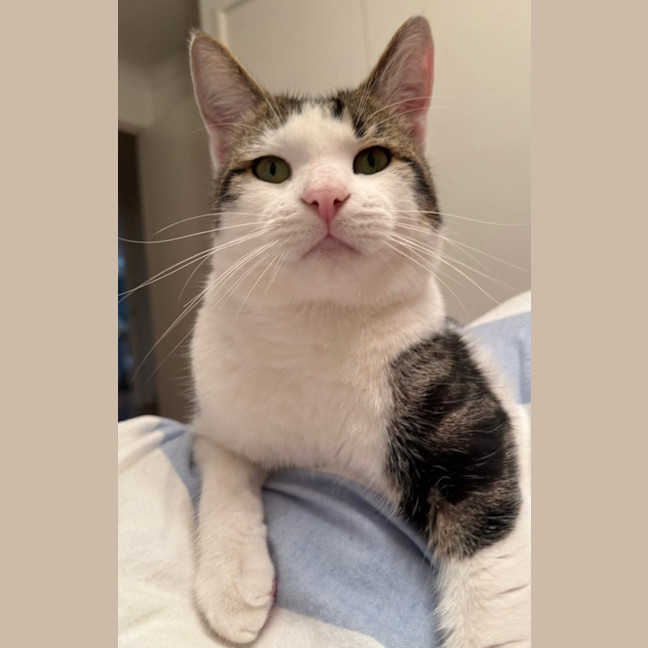 Photo of Bobby