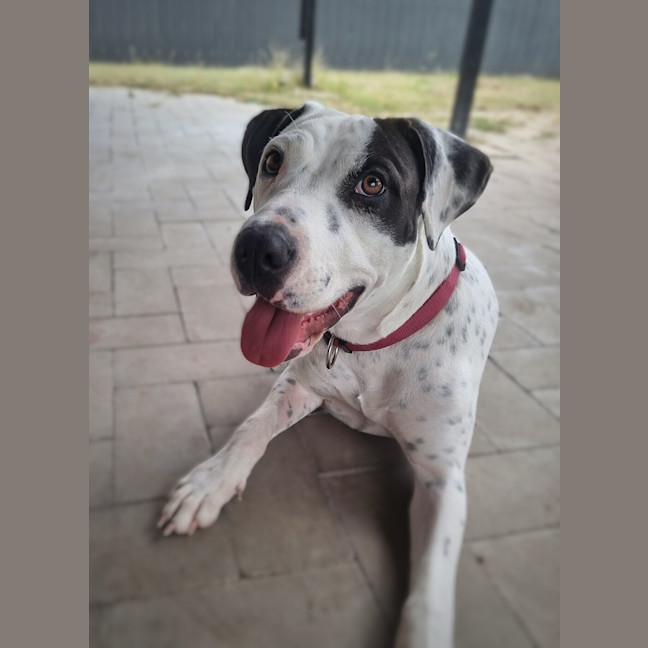 Photo of Matilda