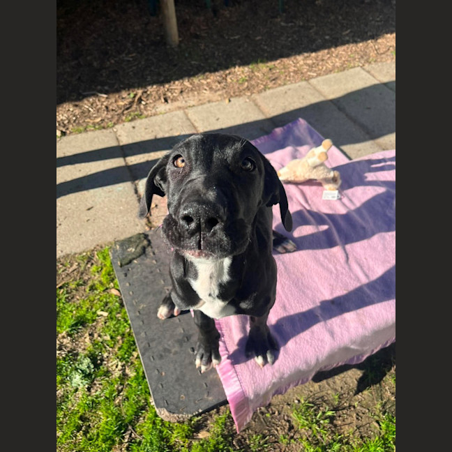Photo of Zephyr
