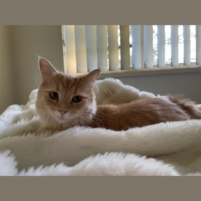 Photo of Lily