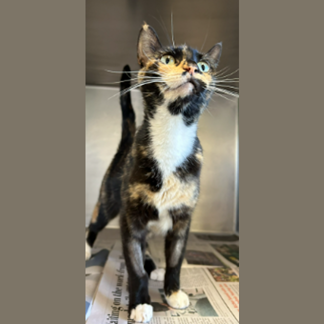 Photo of Mumma Ginge