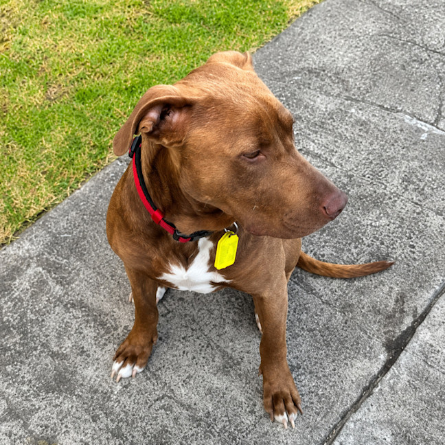 Photo of Ralph
