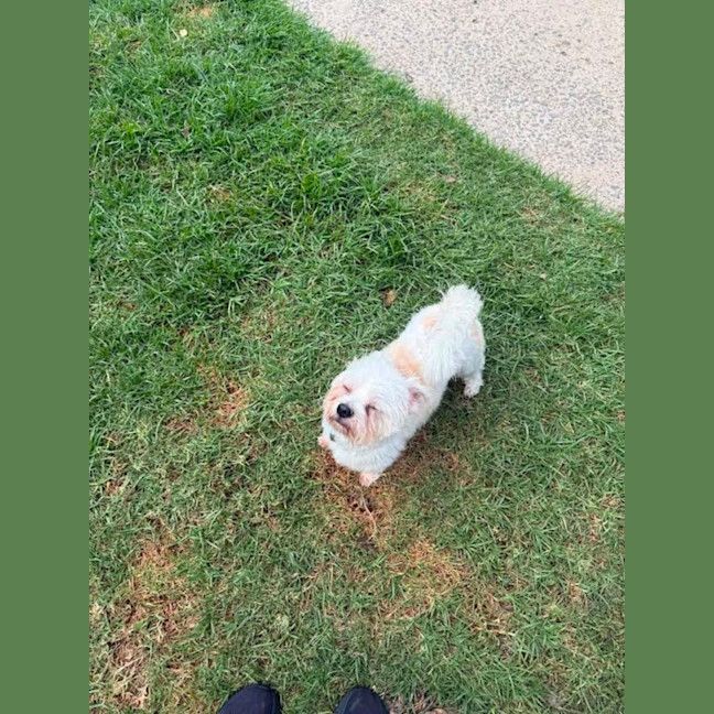Photo of Marvin