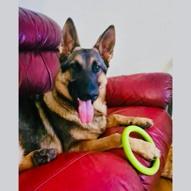 Photo of Mia