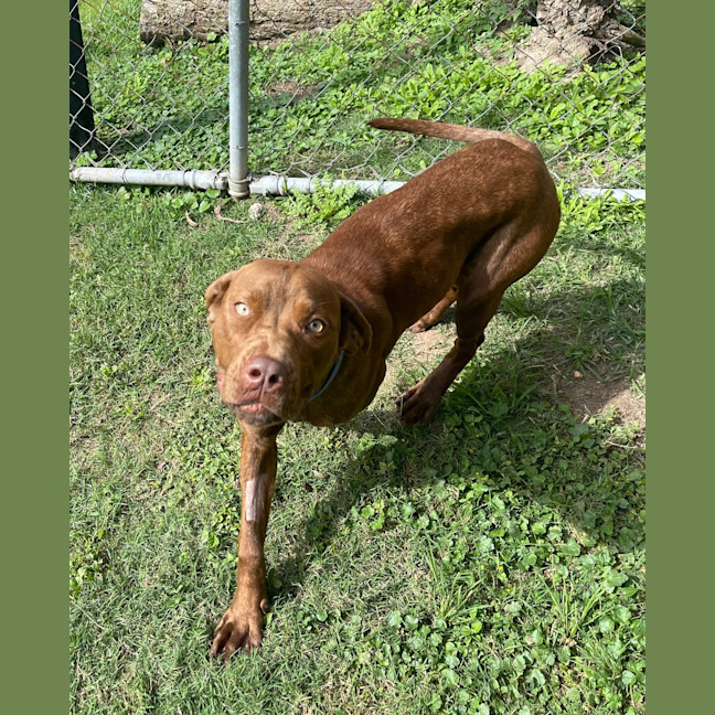 Photo of Bonnie