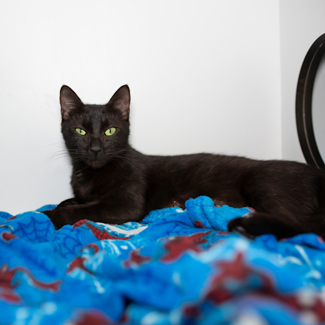 Photo of Milly