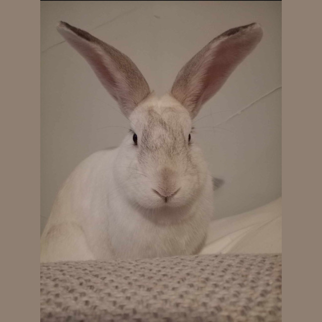 Photo of Adorable Piotr