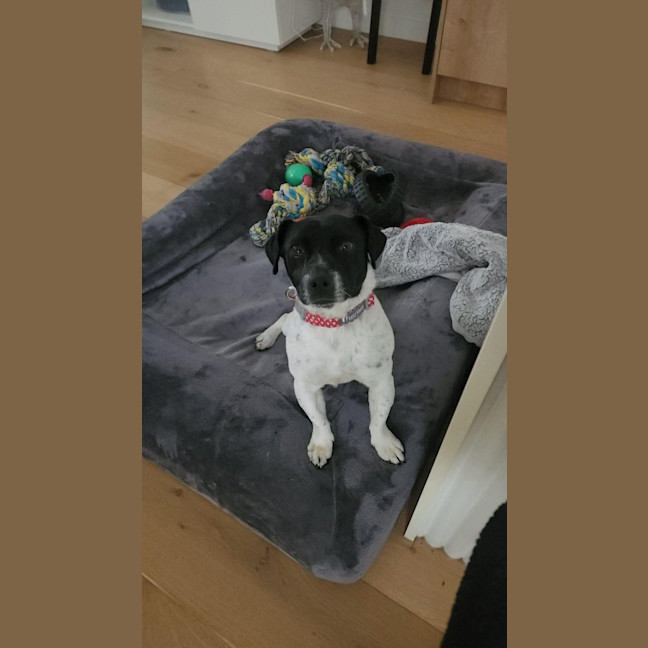 Photo of Jack