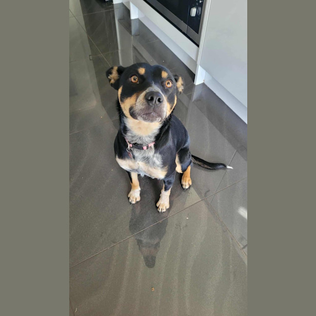 Photo of Astral