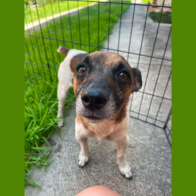 Photo of (Dot &) Dash