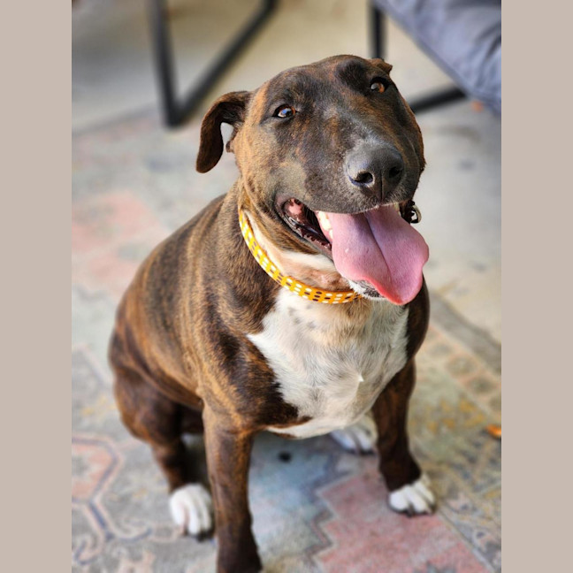 Photo of 🦆 Ducky 6839 🦆