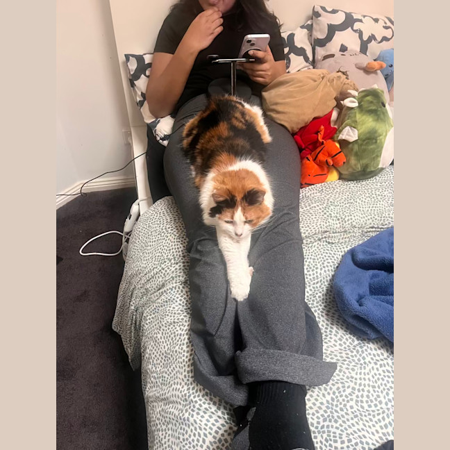 Photo of Miss Sassy Pants