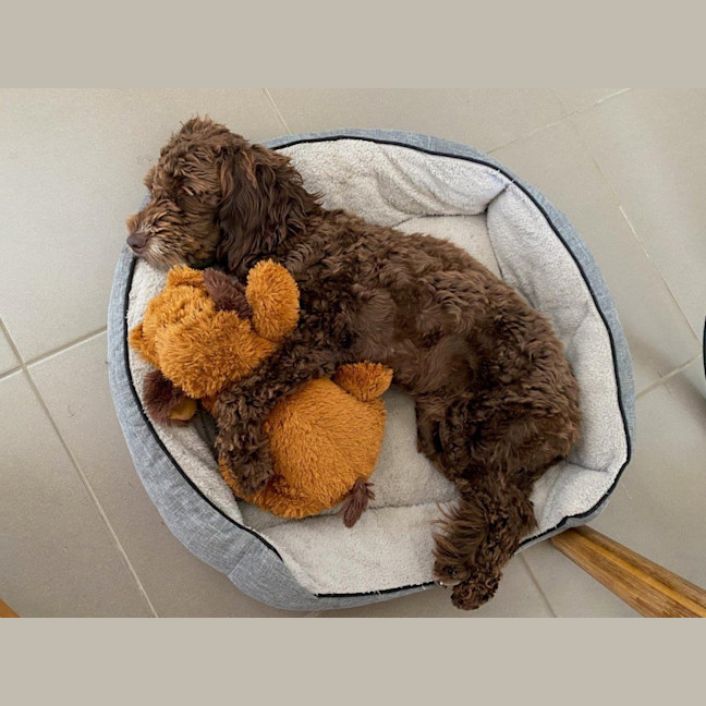 Photo of Milo Russelton