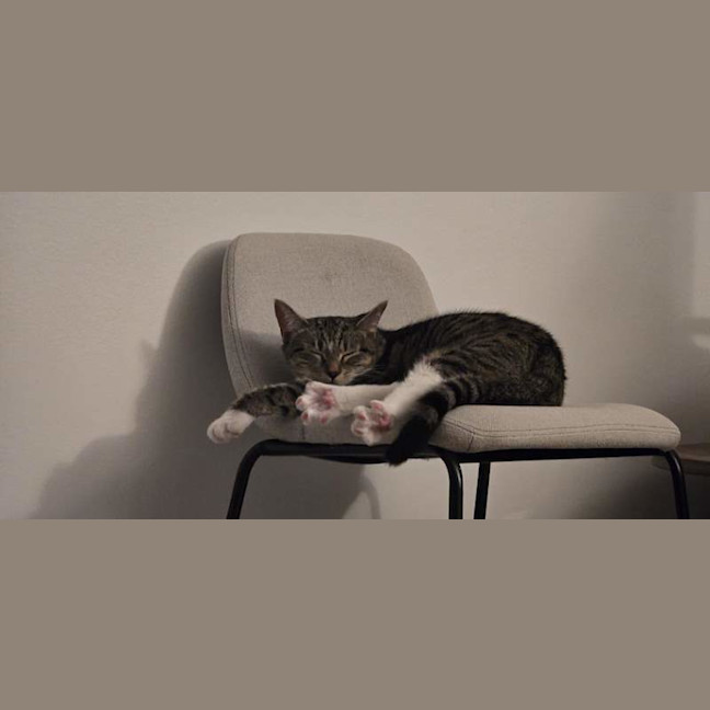 Photo of Hazel
