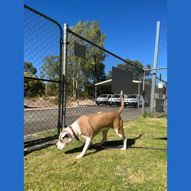 Photo of Mia