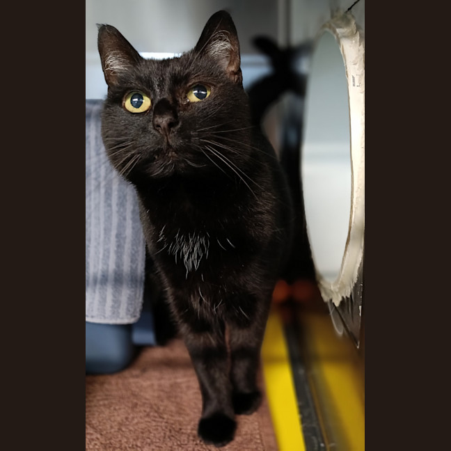 Photo of Maisey Now Macey