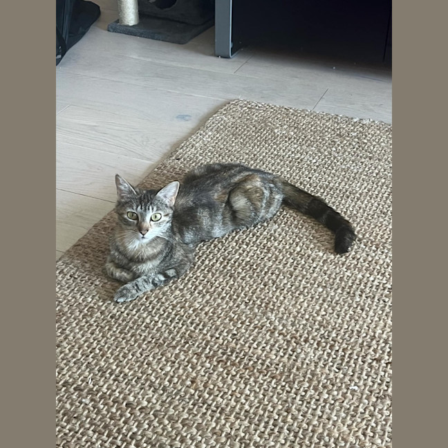 Photo of Mia 