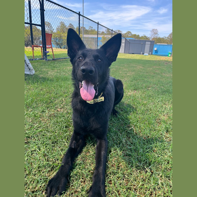 Photo of Oakley