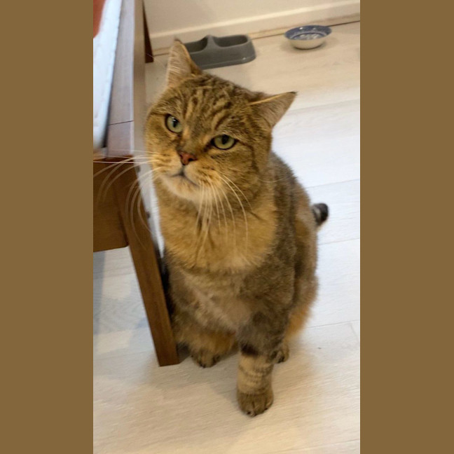 Photo of Big Boy