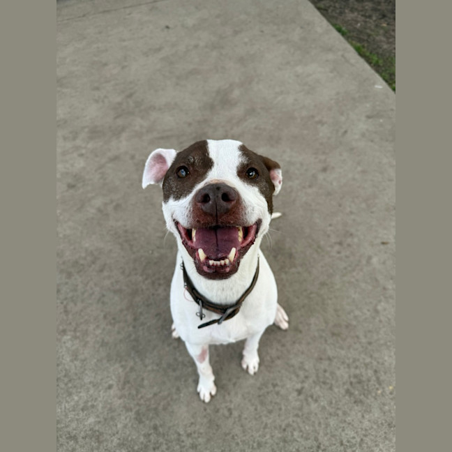 Photo of Xena 