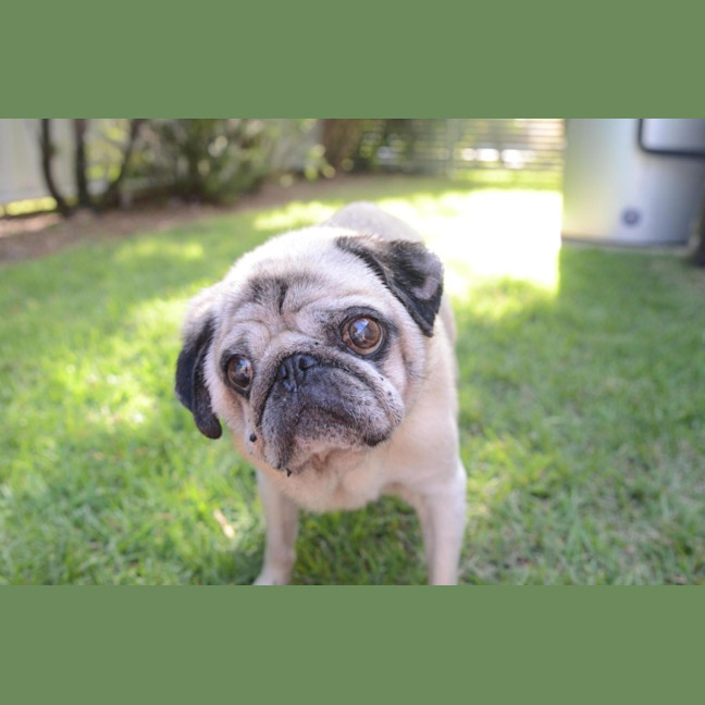 Photo of Blossom 🌸