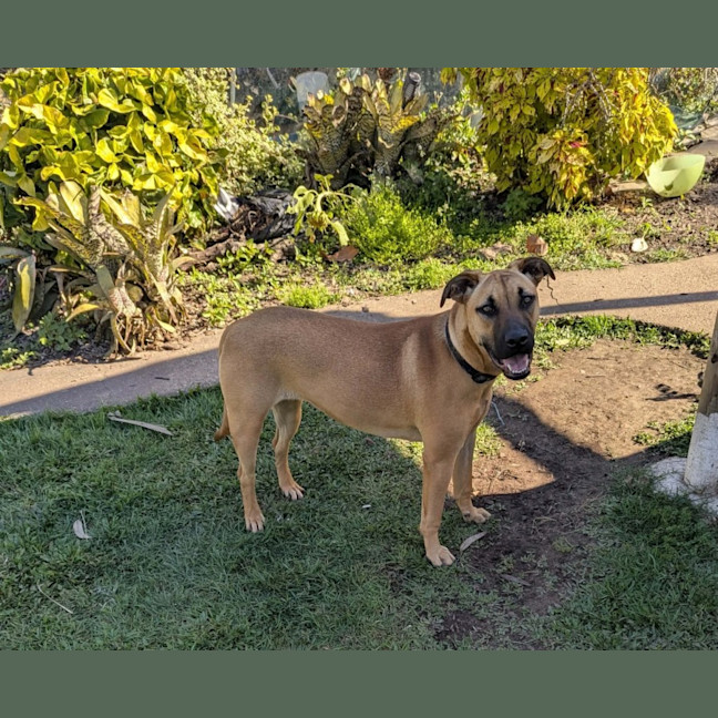 Photo of Cassie