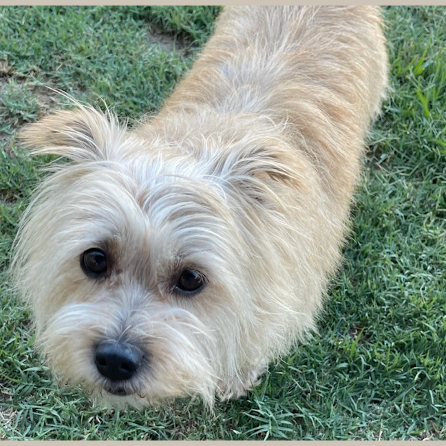 Photo of Milly