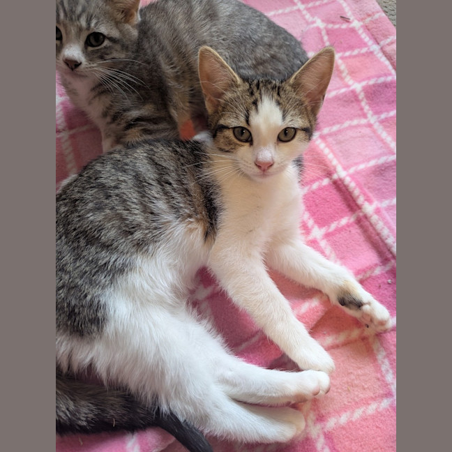 Photo of Sofia Scotty