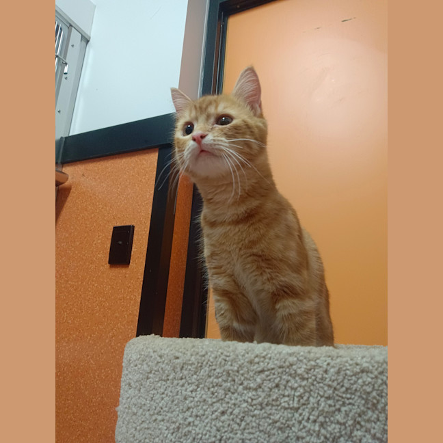 Photo of Reggie