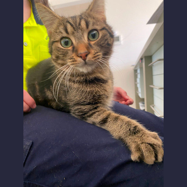 Photo of Catrick Swayze