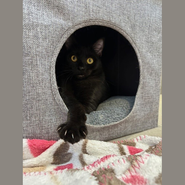 Photo of Hera