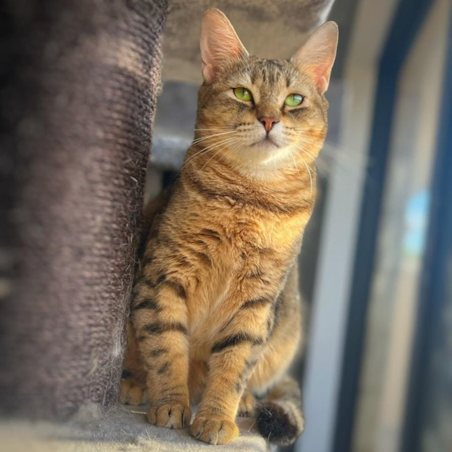 Photo of 6295   Adele