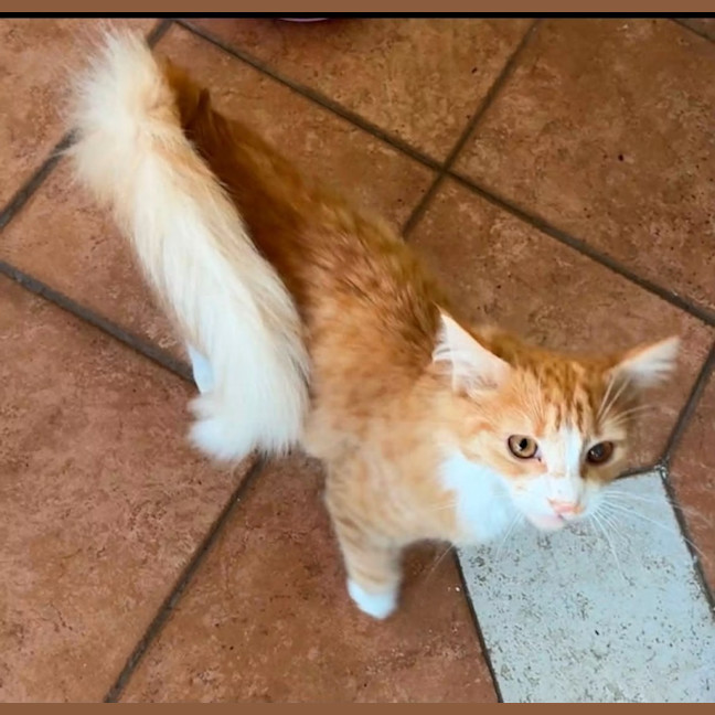 Photo of Penelope