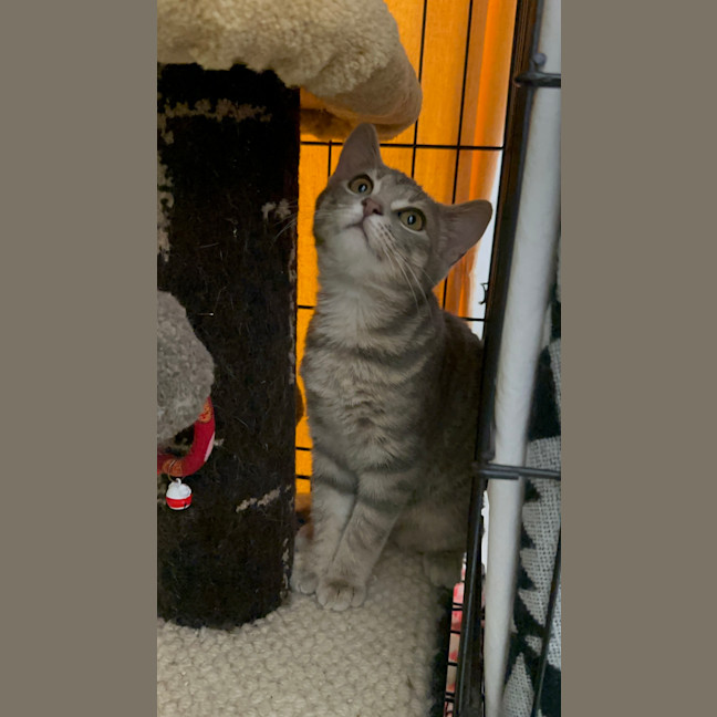 Photo of Lala