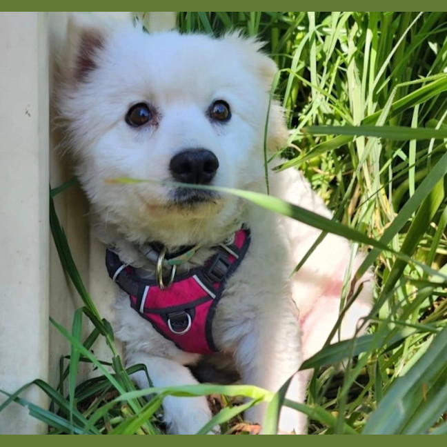 Photo of Keiko