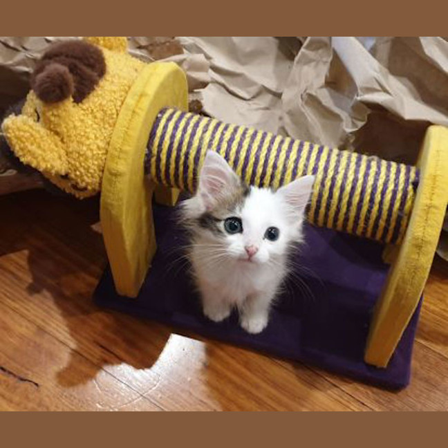 Photo of Mimi