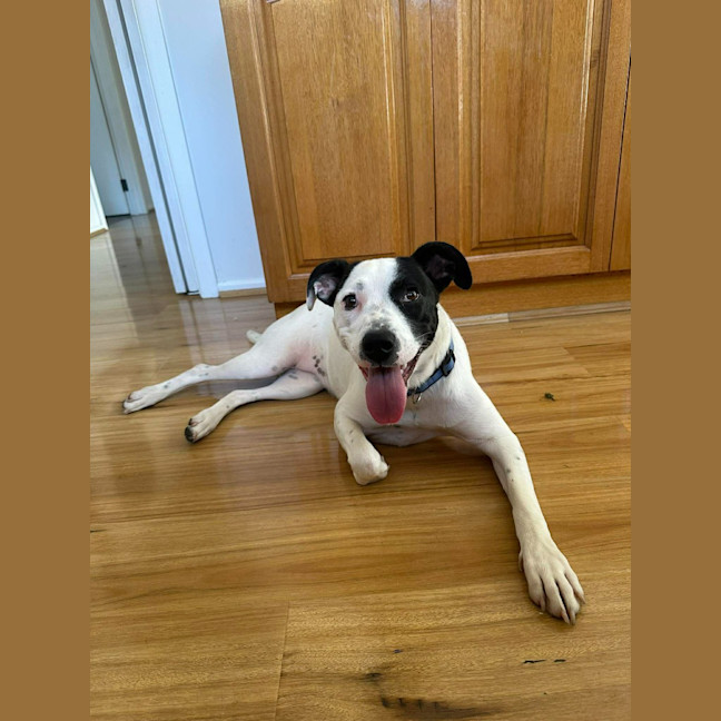 Photo of Penny