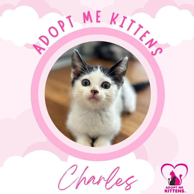 Photo of Charles