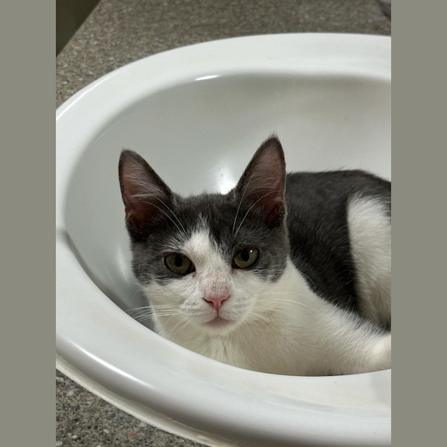 Photo of Billie Jean