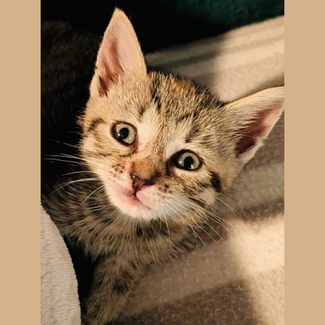Photo of Peggy