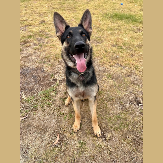 Photo of Kingston