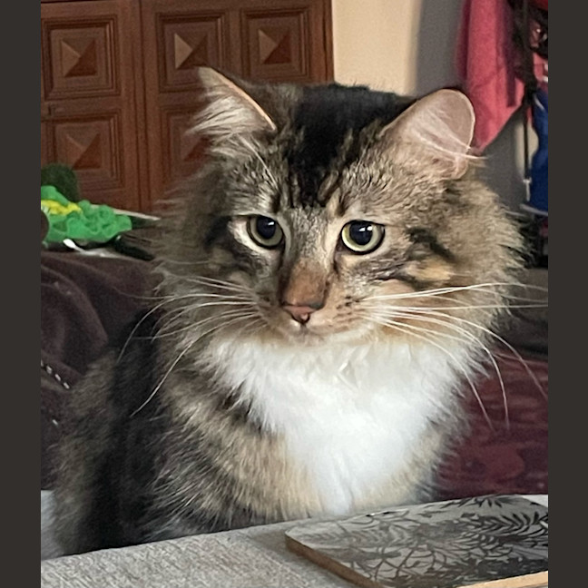 Photo of Percy
