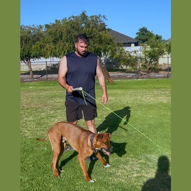 Photo of Rex