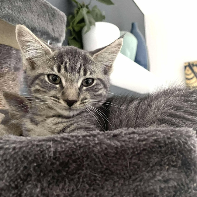 Photo of Cleo   Located In Bentleigh East