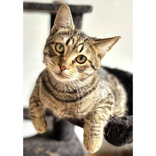 Photo of 11963   Travis